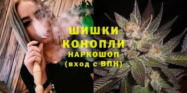 PSILOCYBIN Абдулино