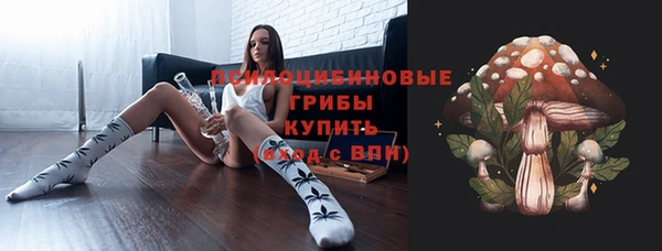 индика Абаза