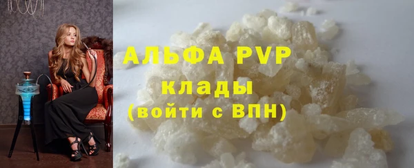 индика Абаза
