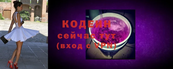индика Абаза