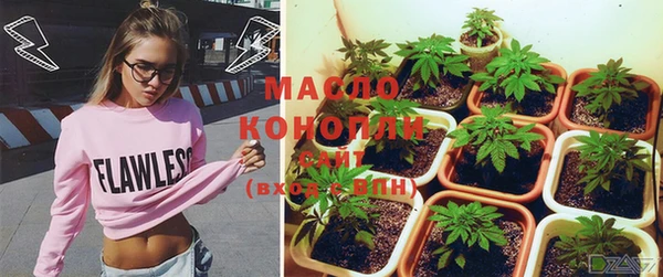 индика Абаза