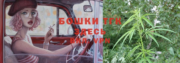 PSILOCYBIN Абдулино