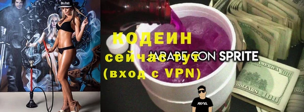 индика Абаза