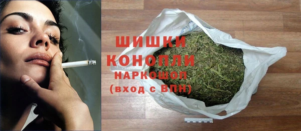 индика Абаза
