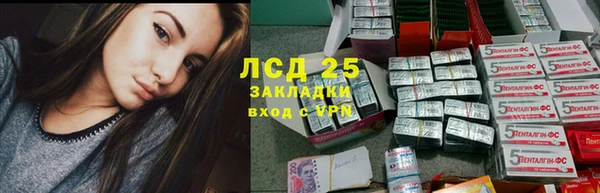 PSILOCYBIN Абдулино